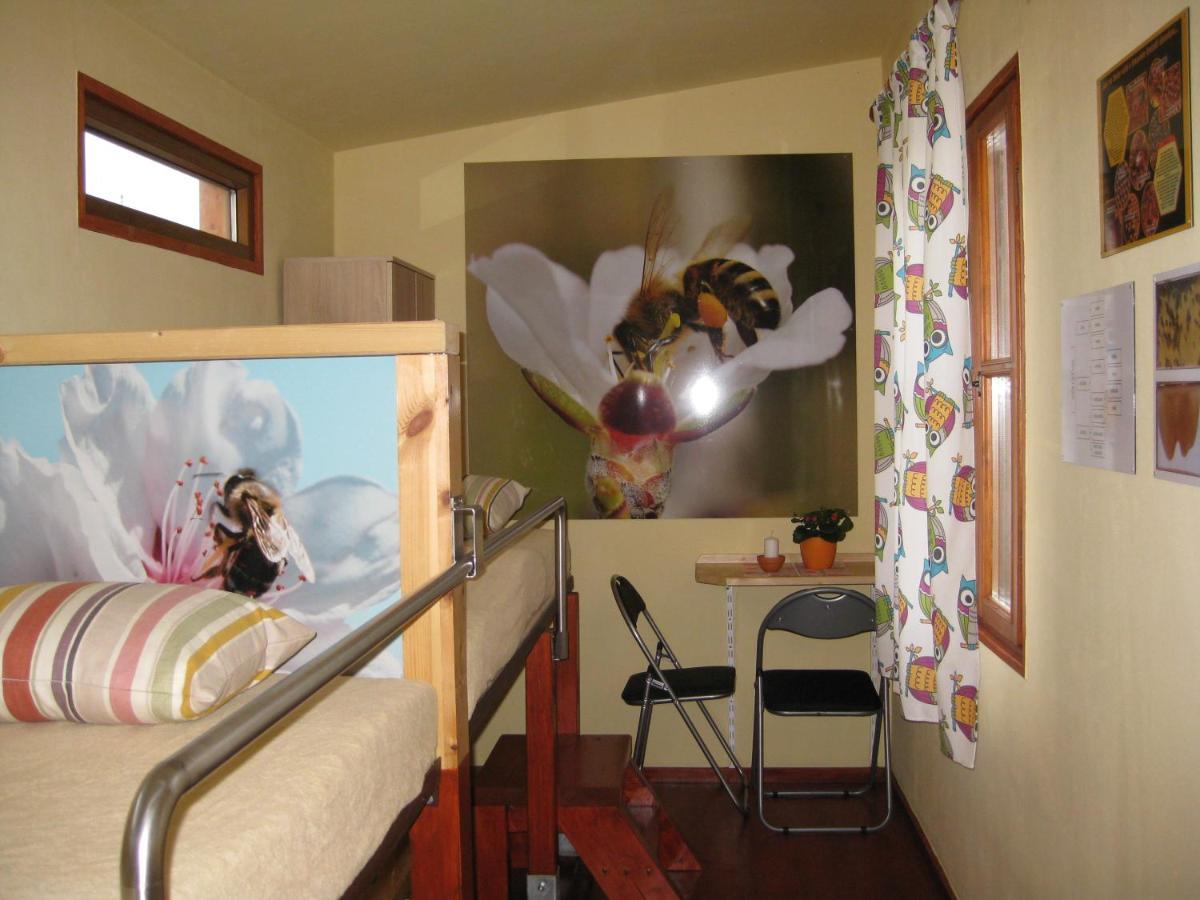 Apartmány včelka Hranice u Novych Hradu Esterno foto