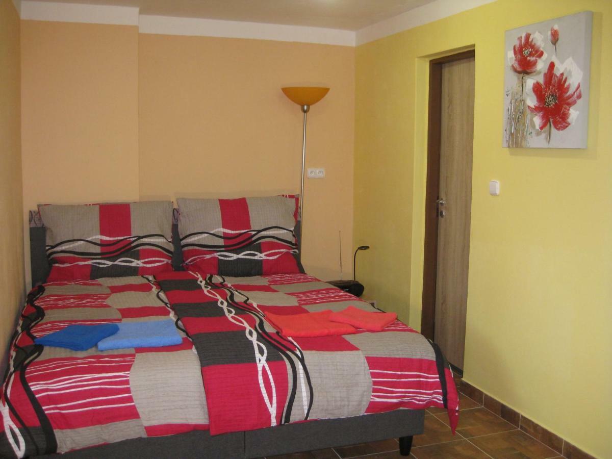 Apartmány včelka Hranice u Novych Hradu Esterno foto